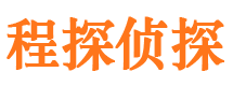 盐边侦探公司